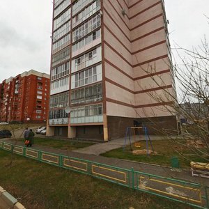 Aleksandra Khokhlova Street, 15, Nizhny Novgorod: photo