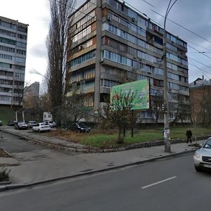 Vyshhorodska Street, 29/1, Kyiv: photo