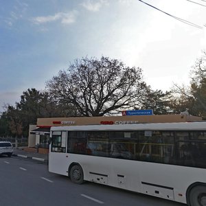 Gelendzhikskiy Avenue, No:161А, Gelencik: Fotoğraflar