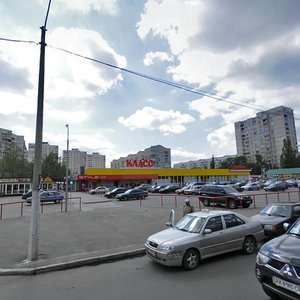 Saltivske shose, 248, Kharkiv: photo