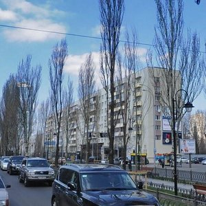 Lesi Ukrainky Boulevard, 5, Kyiv: photo