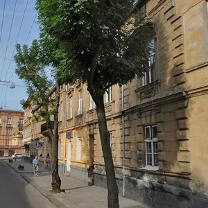 Vulytsia Tuhan-Baranovskoho, 3, Lviv: photo