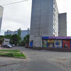 Haharina Street, 5, Zhytomyr: photo