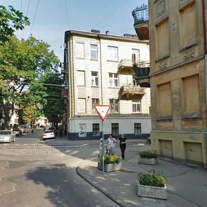 Vulytsia Ivana Bohuna, 9, Lviv: photo