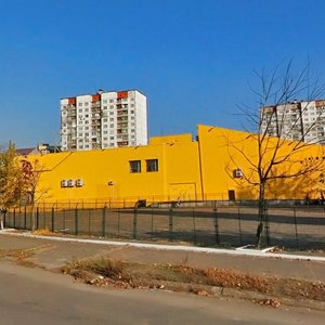 Petra Vershyhory Street, 1, Kyiv: photo