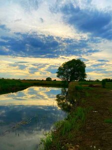 Ulitsa Suvorova, 1, Suzdal: photo