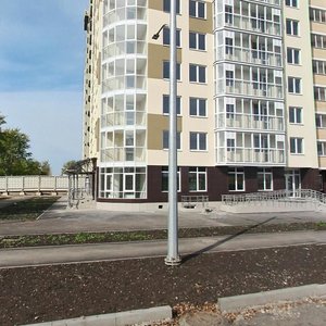 Karpinskogo Street, 112, Perm: photo