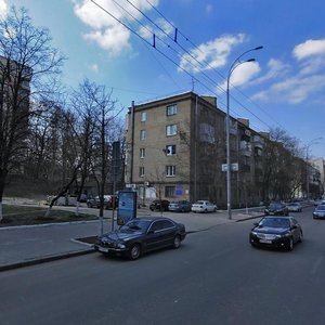 Lesi Ukrainky Boulevard, 20, Kyiv: photo