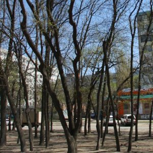 Zorge Street, 62/1, : foto