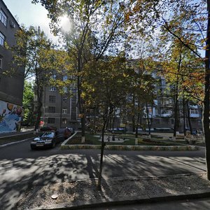 Borisa Chychybabina Street, 8, Kharkiv: photo