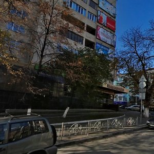Saksahanskoho Street, 53/80, Kyiv: photo