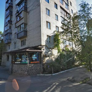 Mykhaila Kotelnykova Street, 46, Kyiv: photo