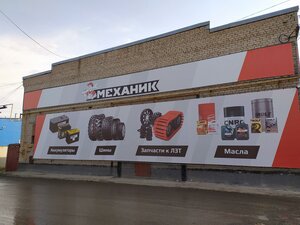 Shosse Kosmonavtov, 316Л, Perm Krai: photo