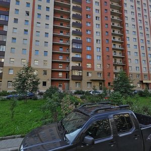 Санкт‑Петербург, Улица Асафьева, 7к1: фото