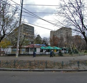 Lisovyi Avenue, No:28, Kiev: Fotoğraflar