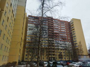 Leninskiy Avenue, 95к2, Saint Petersburg: photo