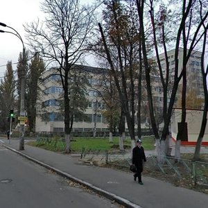 Maksyma Kryvonosa Street, 2А, Kyiv: photo