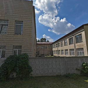 Mykhaila Kotelnykova Street, 51, Kyiv: photo