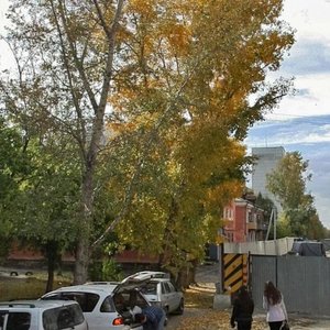 Proletarskaya Street, 55 ، بارناول: صورة