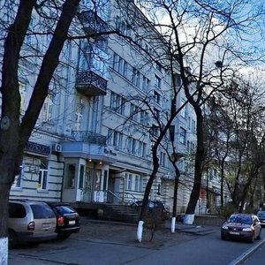 Lva Tolstoho Street, 15, Kyiv: photo