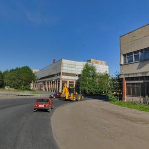 Polevaya Sabirovskaya Street, 46 ، سان بطرسبرغ: صورة
