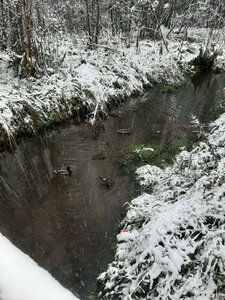 Rucheynaya Street, 61, Syktyvkar: photo