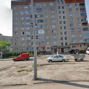 Vulytsia Hrinchenka, 1 ، لفيف: صورة