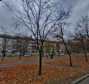 Verkhovnoi Rady Boulevard, 28, Kyiv: photo