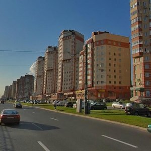 Savushkina Street, 127 ، سان بطرسبرغ: صورة