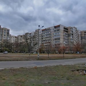 Akademika Korolova Avenue, 4, Kyiv: photo