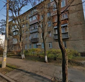 Kateryny Bilokur Street, 1, Kyiv: photo