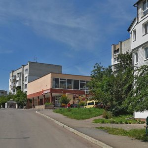 Трускавец, Улица Александра Довженко, 4: фото