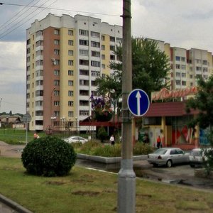 Rechycki praspiekt, 2, Gomel: photo