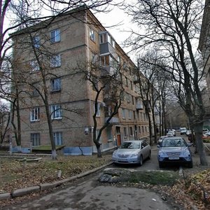 Laboratornyi Lane, 24, Kyiv: photo