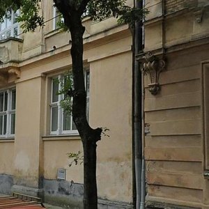 Vulytsia Novakivskoho, 8, Lviv: photo