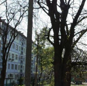Bratskiy Lane, 146А/63 ، روستوف نا دونو: صورة