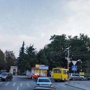 Lychakivska vulytsia, 152, Lviv: photo