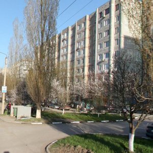 Orbitalnaya Street, 64/1, : foto