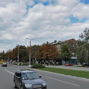 Vulytsia Haharina, No:11, Brovary: Fotoğraflar