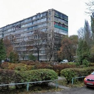 Oleksandra Pyrohovskoho Street, 3, Kyiv: photo