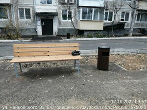 Chaykovskogo Street, 33 ، : صورة