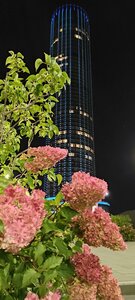 Borisa Yeltsina Street, 6 ، يكاترينبورغ: صورة