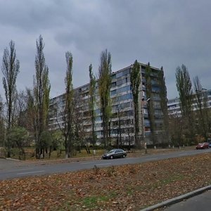 Sholom-Aleikhema Street, 22, Kyiv: photo