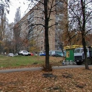 Oleksy Tykhoho Street, 41, Kyiv: photo