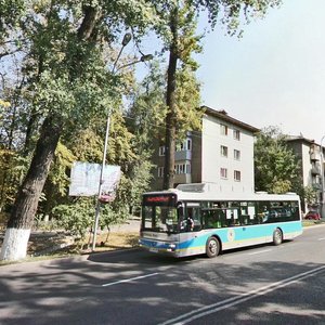 Dostyk Avenue, 274, Almaty: photo