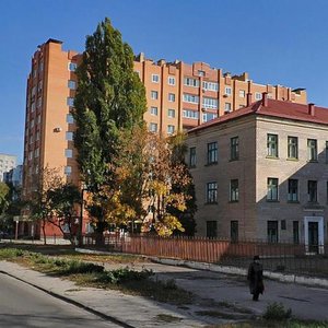 Vulytsia Viacheslava Chornovola, 10, Chernihiv: photo