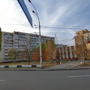 Heroiv Dnipra Street, 73, Kyiv: photo