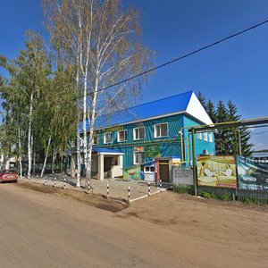 Республика Татарстан, Улица Космонавтов, 48: фото