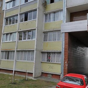 Akademika Zabolotnoho Street, 46 ، كييف: صورة