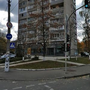 Holosiivska Street, 19, Kyiv: photo